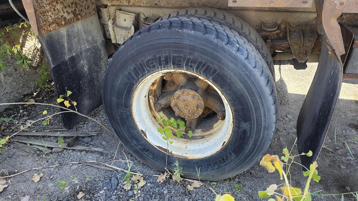 Used 1986 International S1900