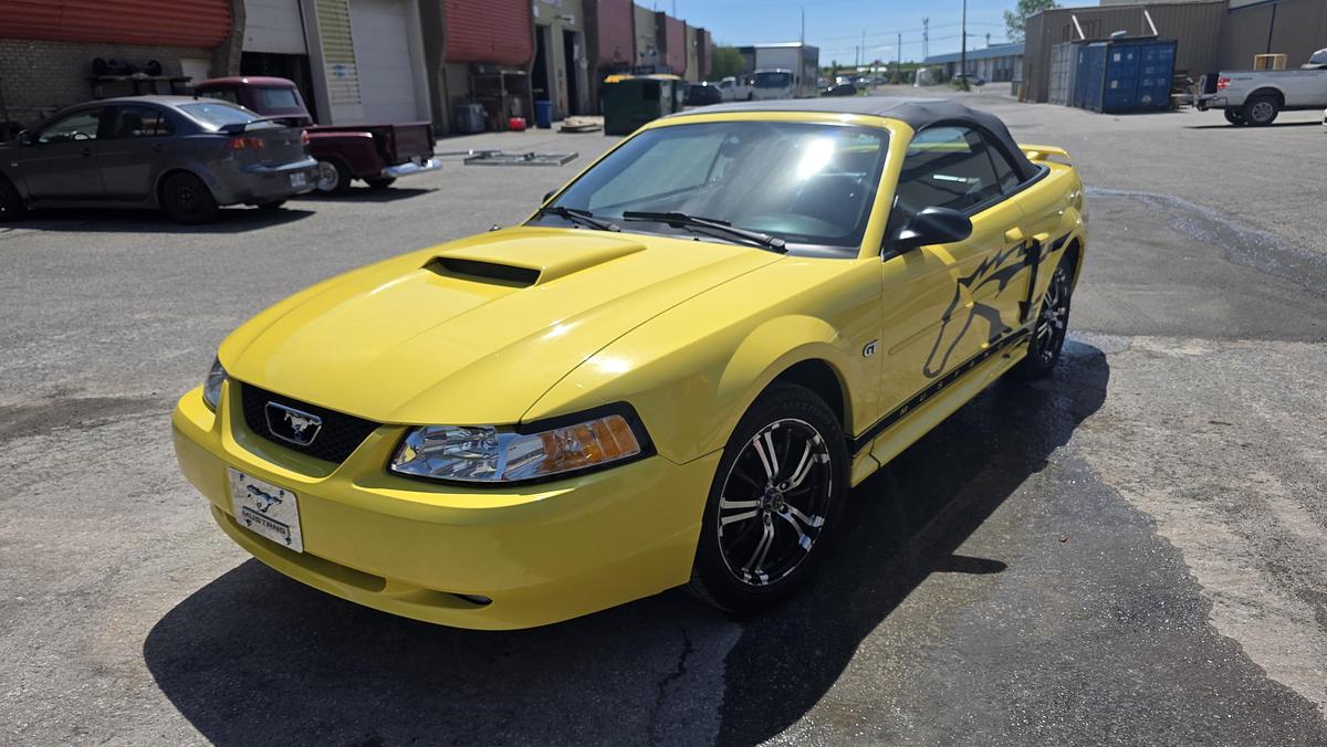 Used 2003 Ford Mustang GT