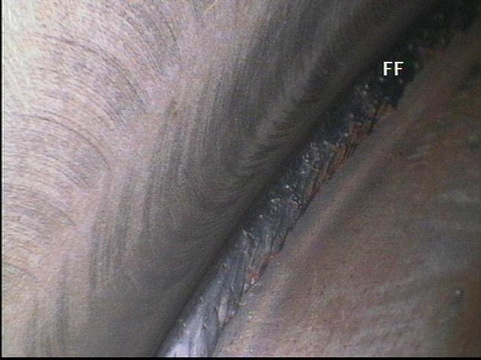 Refurbished 1986 NASH CL2002 #19592