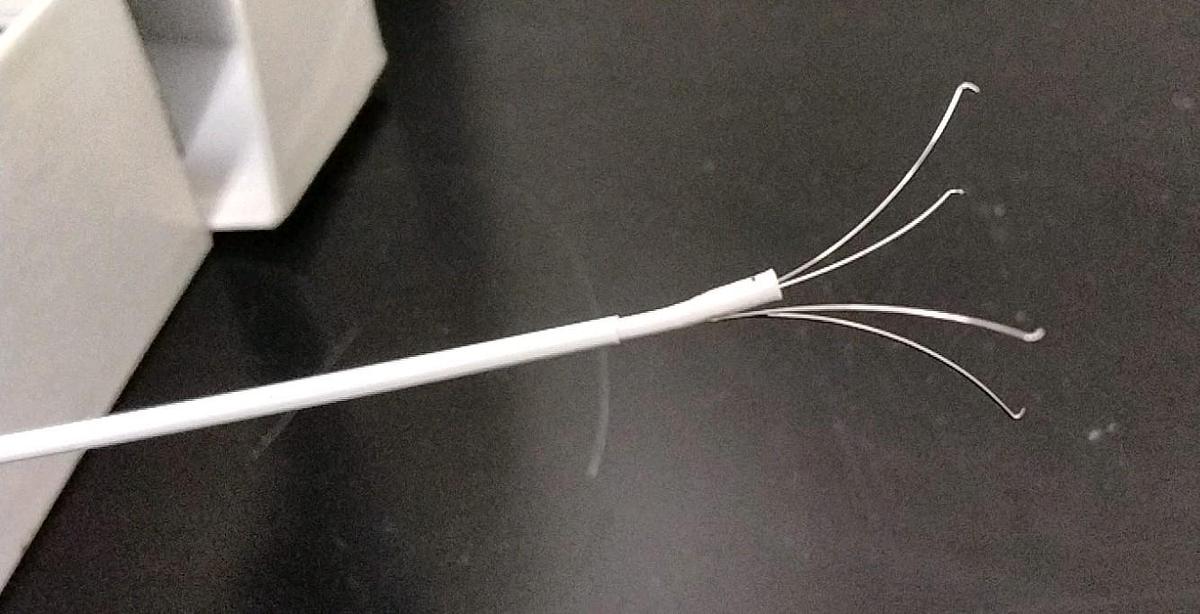 Used Gyrus ACMI GF-558 4-Prong Grasping Forceps