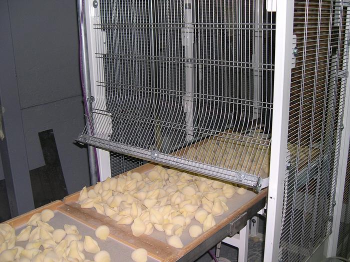 Usato IMPIANTO SEMIAUTOMATICO PER LA PRODUZIONE DI  PASTA ALIMENTARE FORMATO CORTO E LUNGO CON CAPACITA' DI 300 KG./ORA