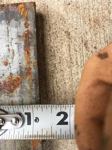 Used Lot of Die Inserts Approximately 4-9/16" x 1-1/4"