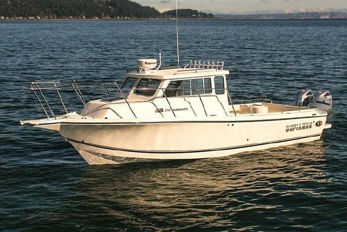 2025 Defiance Guadalupe 290 EX