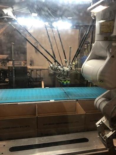 Used 2015 Premier Tech Robotic Packaging Line