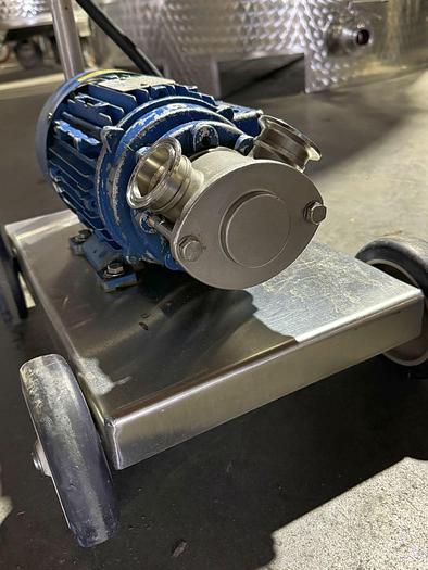 Used Vigor Mini Flexible Impeller Pump