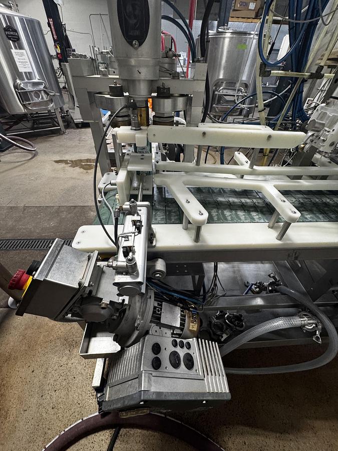 Used Used Wild Goose WGC250 canning line