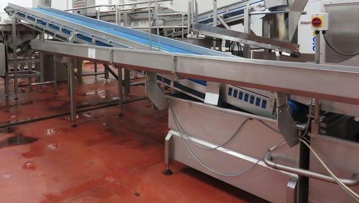 Used DUTCH TECSOURCE VEGETABLE WASHING AND STEAM BLANCHING LINE