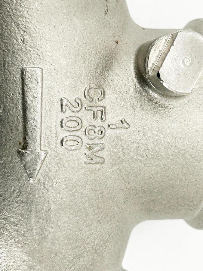 New FNW FNW16B200G Check Valve Stainless Steel 1" 1 CF8M 200
