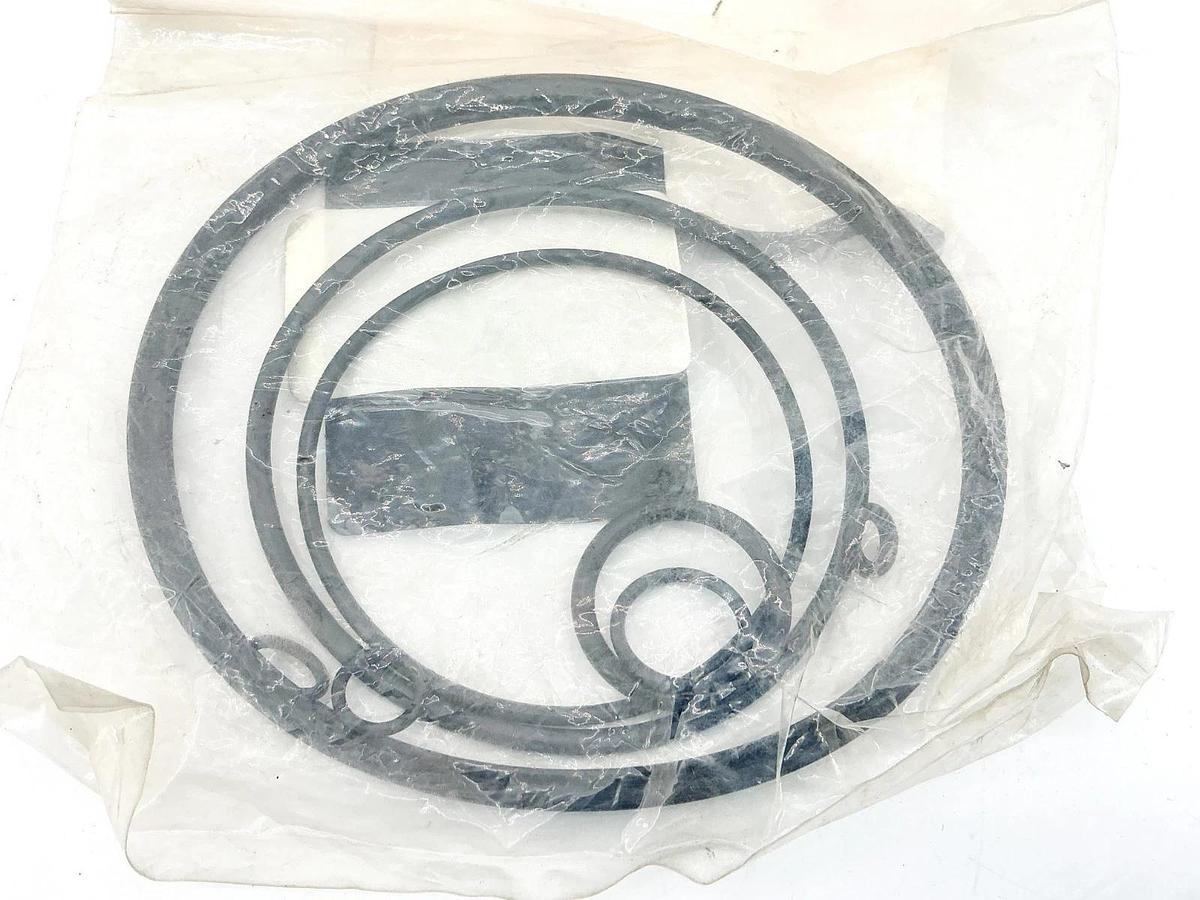 New Hyster 61370 Seal Kit