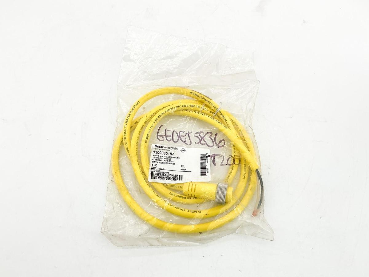 New Brad Connectivity 130060187 Cordset 2P 102002C01F0601