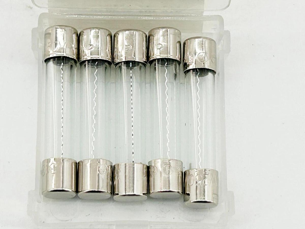 New Lot of 20 Littelfuse 312010P Glass Fuse 250V 10A