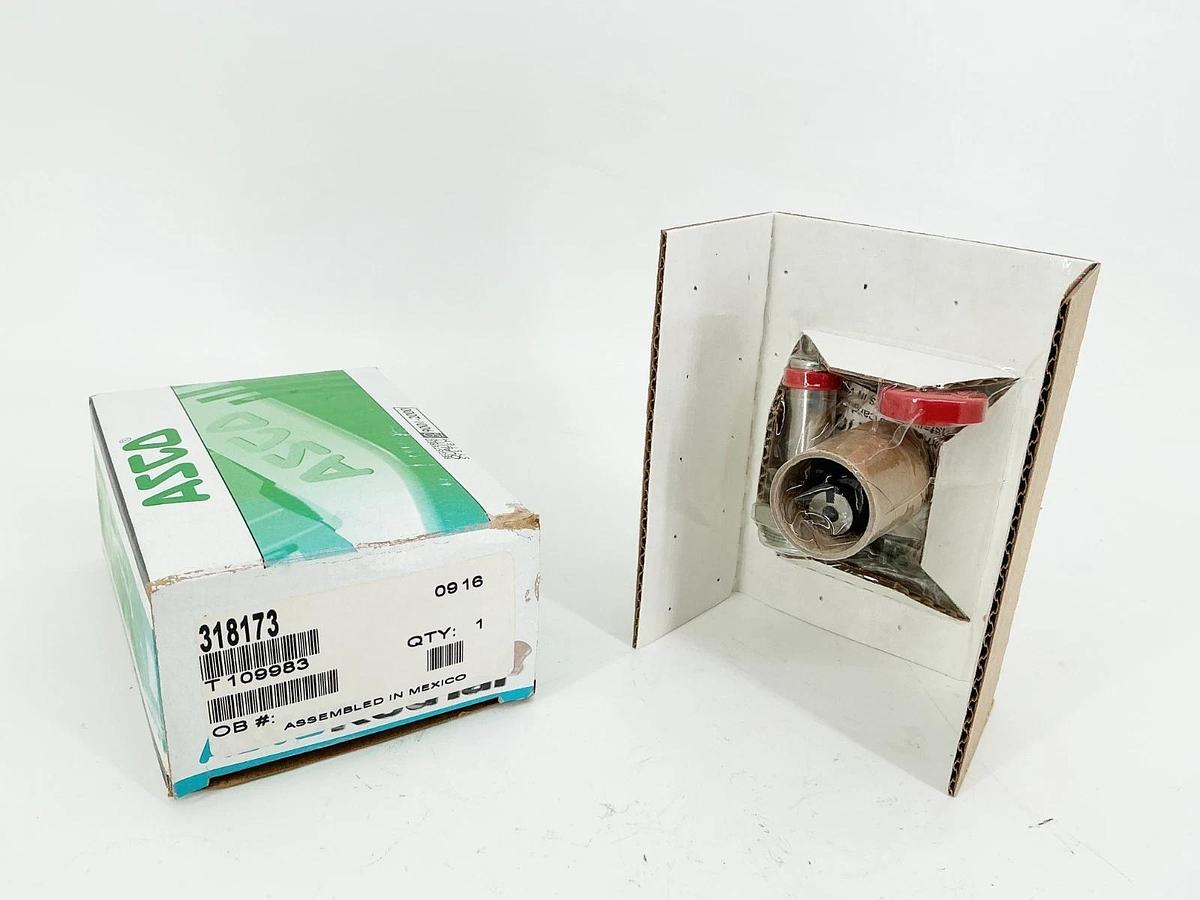 New Asco 318173 Solenoid Rebuild Kit