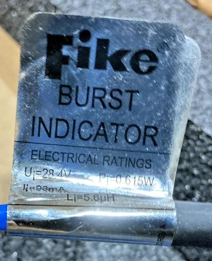 New Fike  Type AD BI Burst Indicator Size:12" Material:316FEP 3.25PSIG@230F