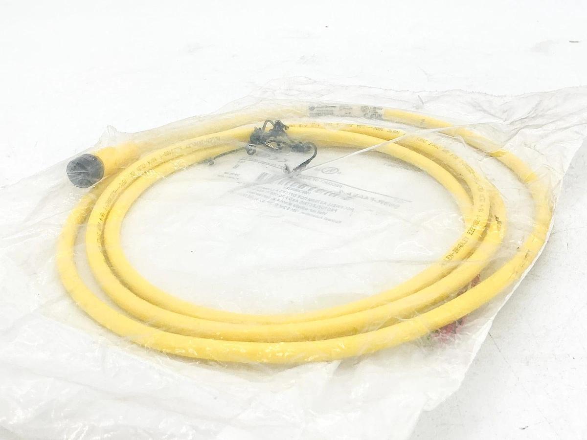 New Allen Bradley 889R-F4AEA-2 QD Cordset 4Pin AC Micro Straight 2m Ser.B