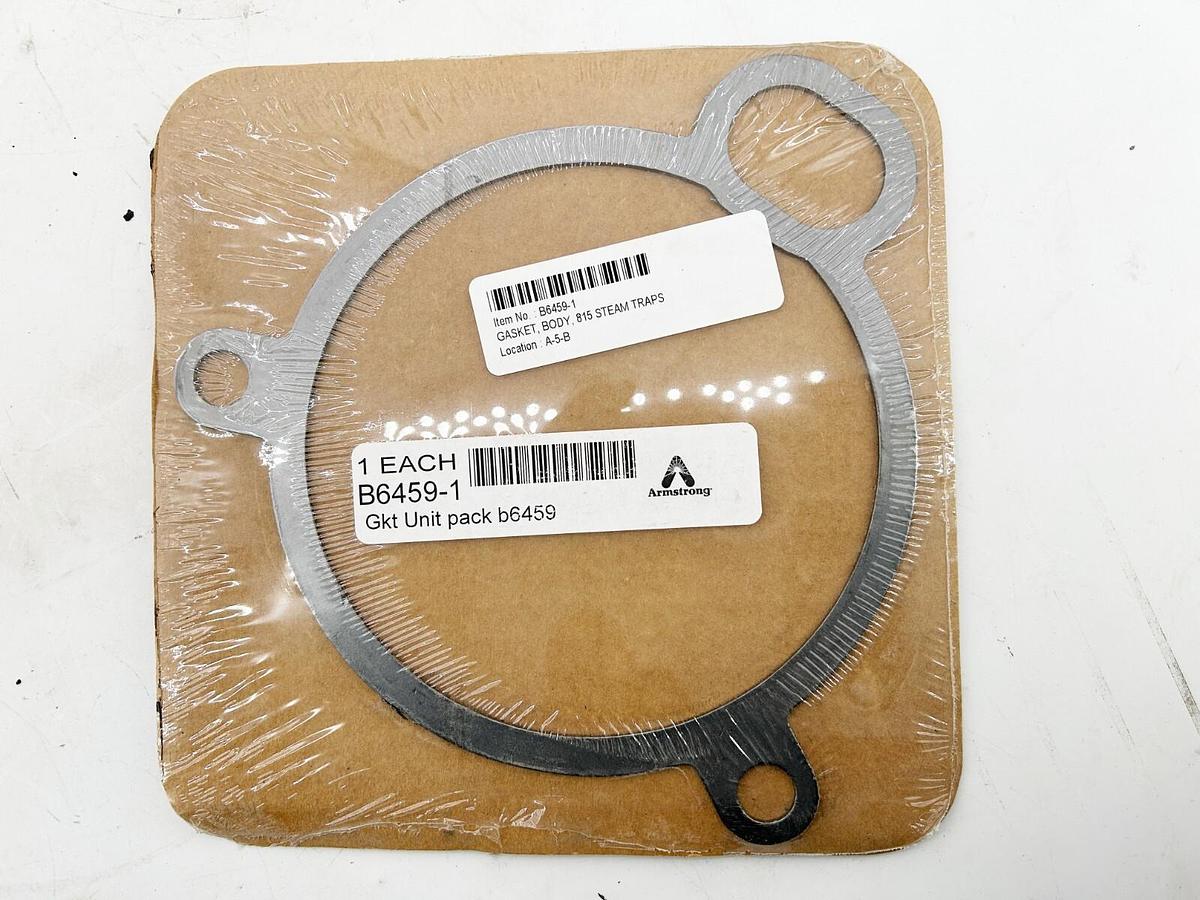 New Armstrong B6459-1 Gasket Unit Pack B6459