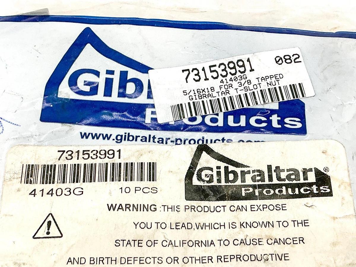 New Bag of 10 Gibraltar 73153991 T-Slot Nut 5/16"X18 for 3/8" Tapped 41403G