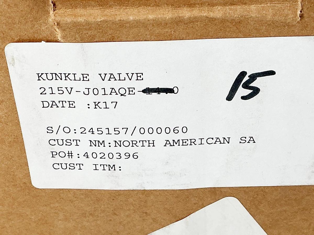 New Kunkle Valve 215V-J01AQE Vacuum Relief Valve 2-1/2" 15PSI Set Pressure