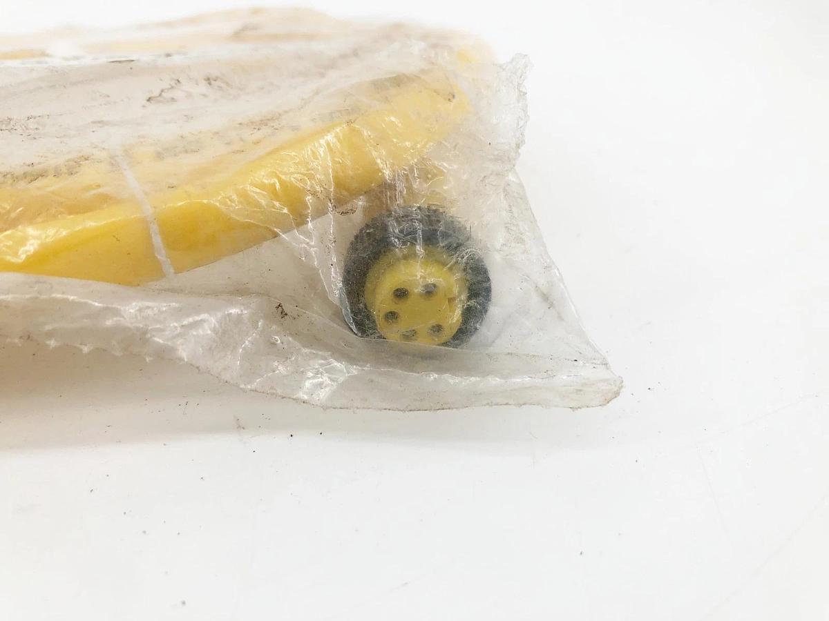 New Brad Connectivity 1300061163 Cordset 5P Female Straight 6FT 16/5 AWG 41307