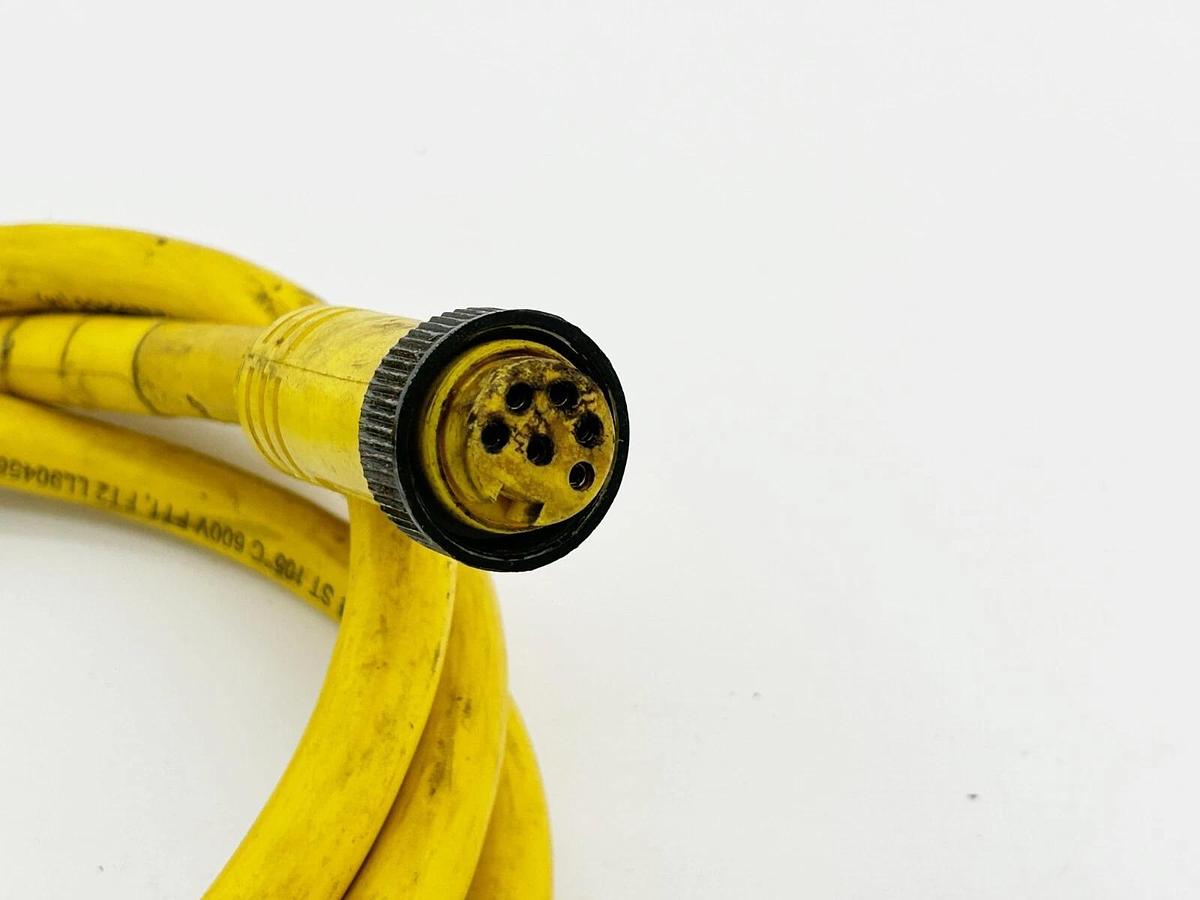 Used Brad Connectivity 226020A01F060 Cableset 6P Male/Female ST/ST 6" Cable 16 AWG PV