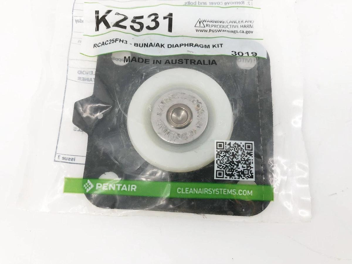 New Goyen K2531 Diaphragm Kit RCAC25FH3-BUNA/AK