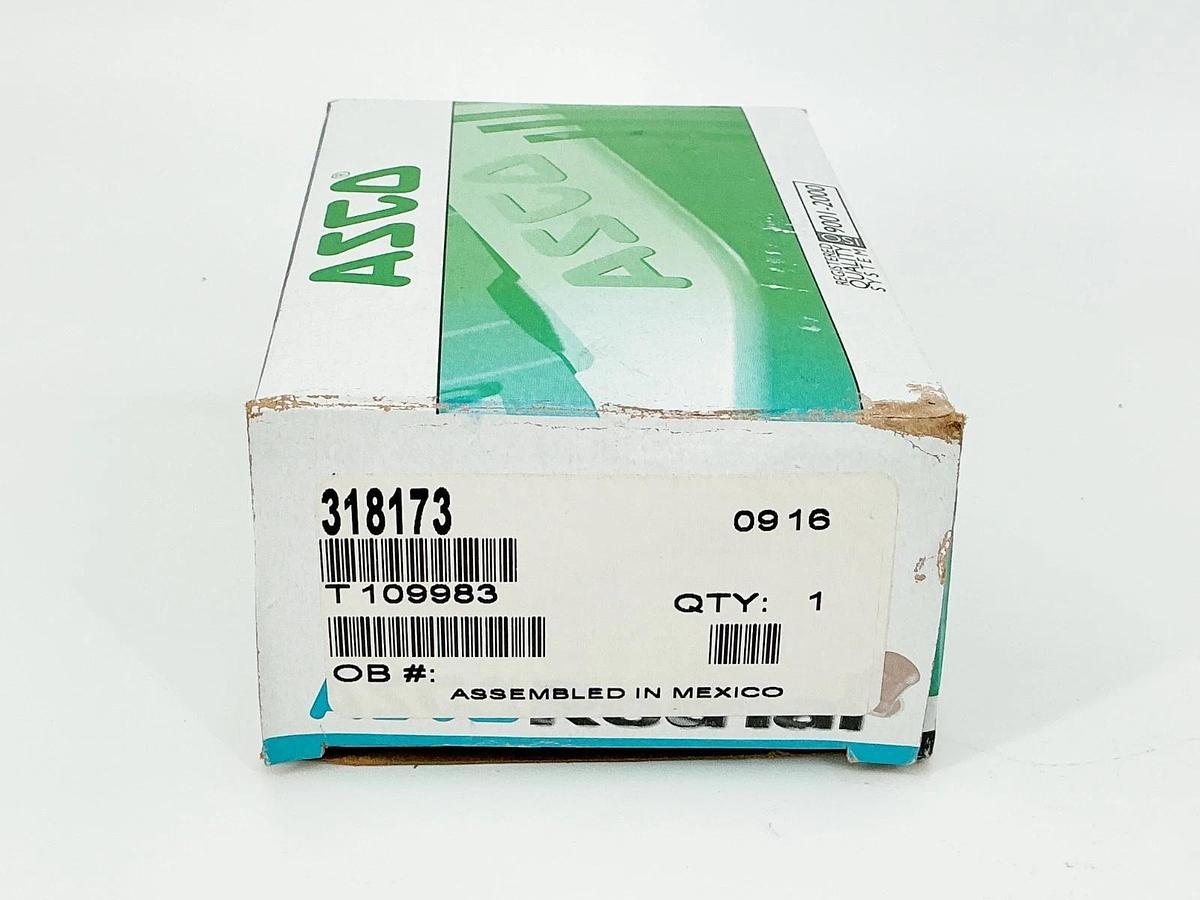 New Asco 318173 Solenoid Rebuild Kit