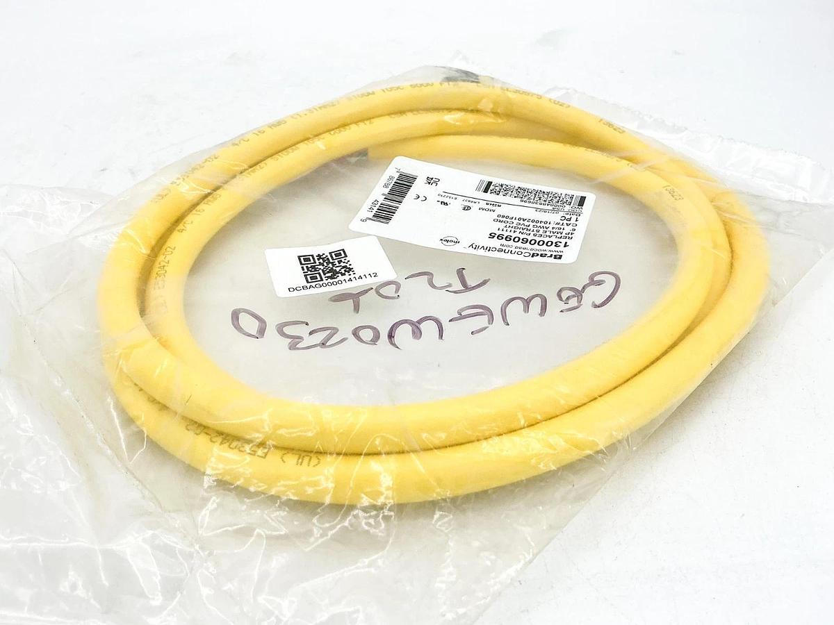 New Brad Connectivity 1300060995 Cordset 4P 6' 104002A01F060 41111
