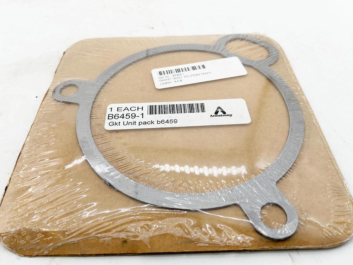 New Armstrong B6459-1 Gasket Unit Pack B6459