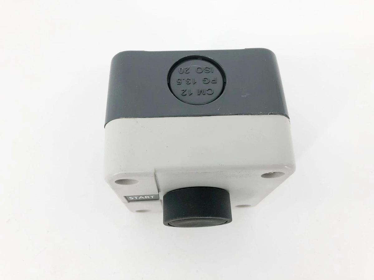 New Dayton 32W265 Pushbutton Control Station Momentary Start 1NO 22mm