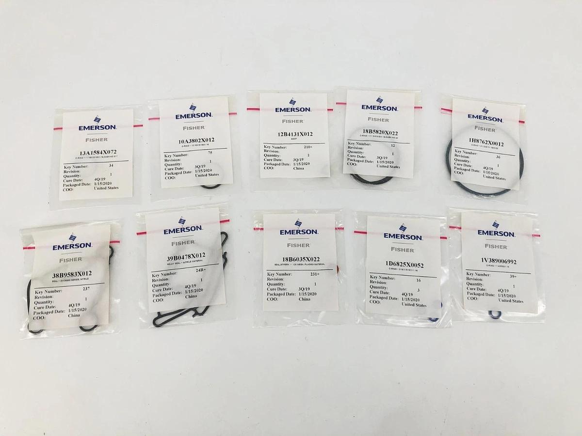 New Fisher Emerson 19B5402X012 Elastomer Kit DVC6000