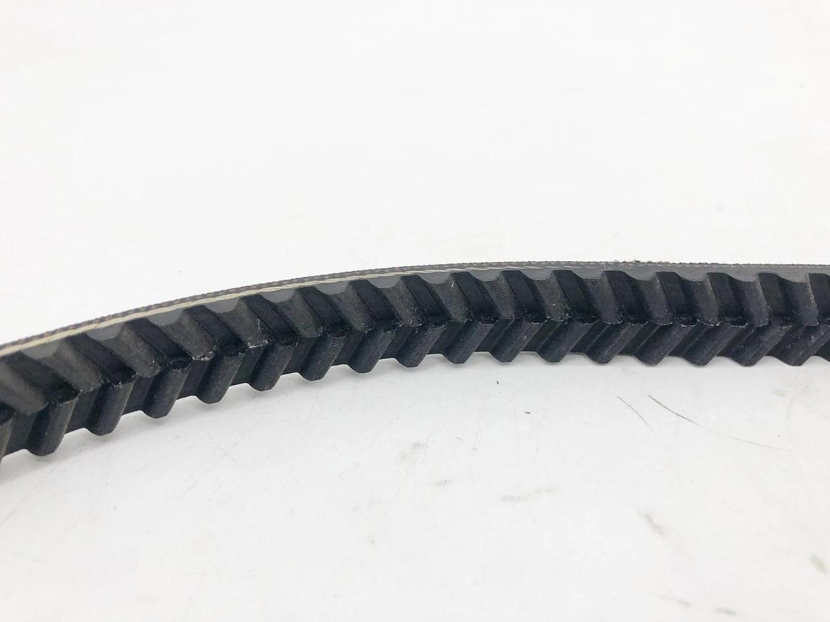New Continental Contitech Y-800 Synchronous Gearbelt 100 Teeth - No Box