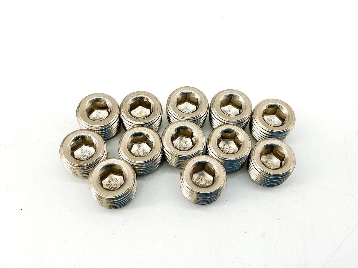 New Lot of 12 Spraying Systems CP10640-1-ENP 1/8" Pipe Plug BRPLTD G97kh0604