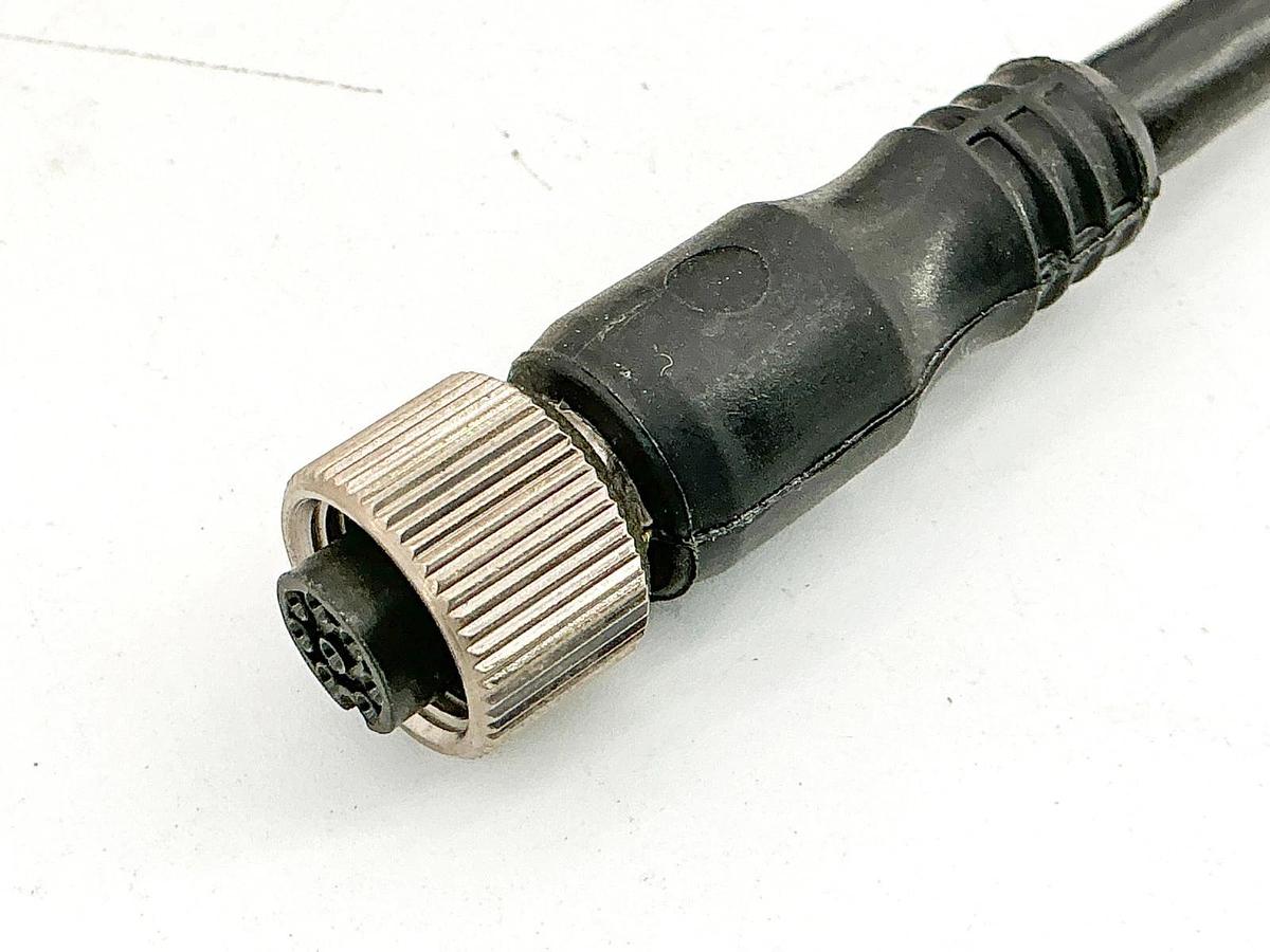 New Allen Bradley 889D-F8FB-10 QD Cordset DC Micro Straight 10M