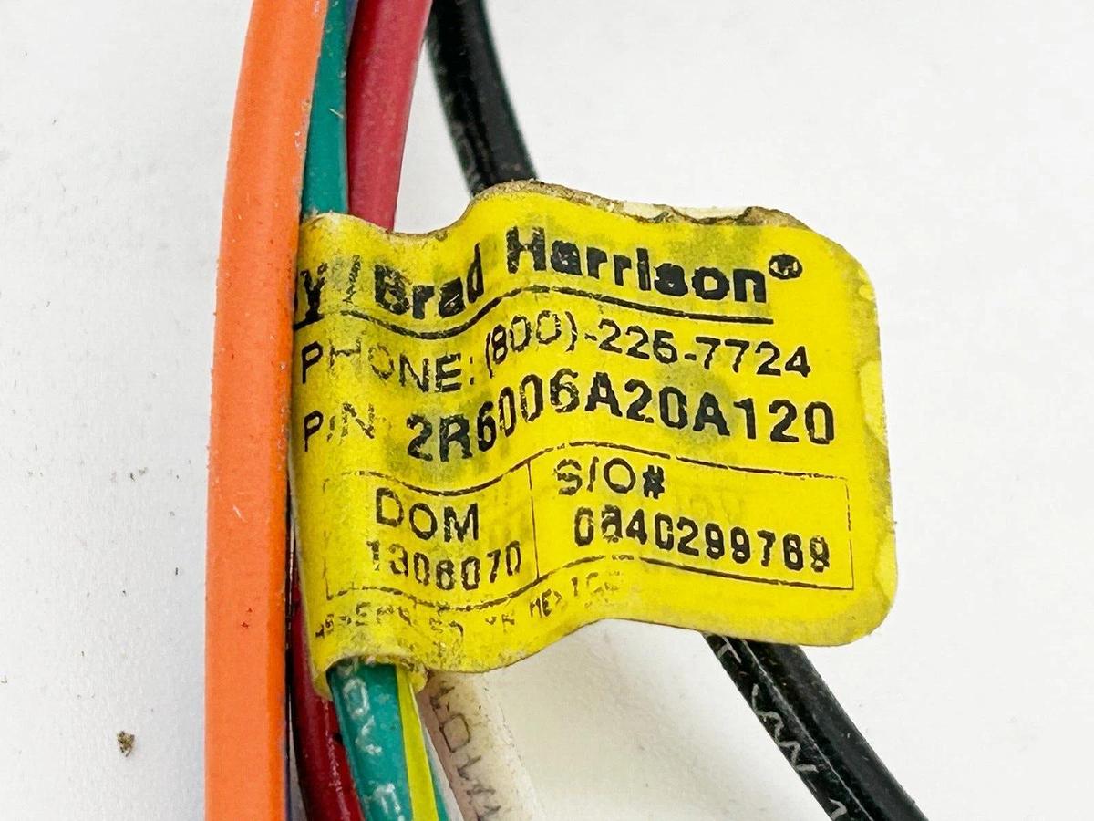 Used Lot of 3 Brad Connectivity 2R6006A20A120 Cordset 6P Male Straight Replaces 42605