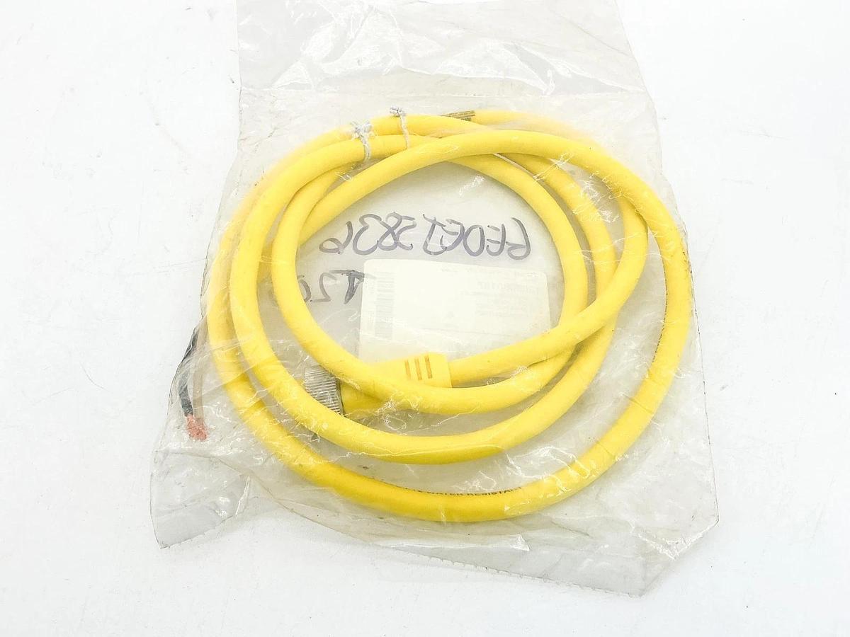 New Brad Connectivity 130060187 Cordset 2P 102002C01F0601