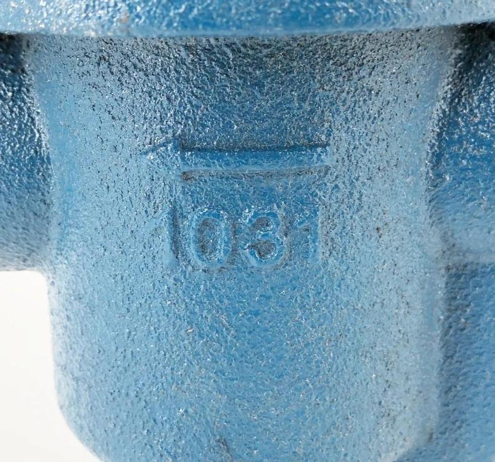 New Watson McDaniel IB1031-12-N-020 Inverted Bucket Steam Trap 1/2" NPT 20psig