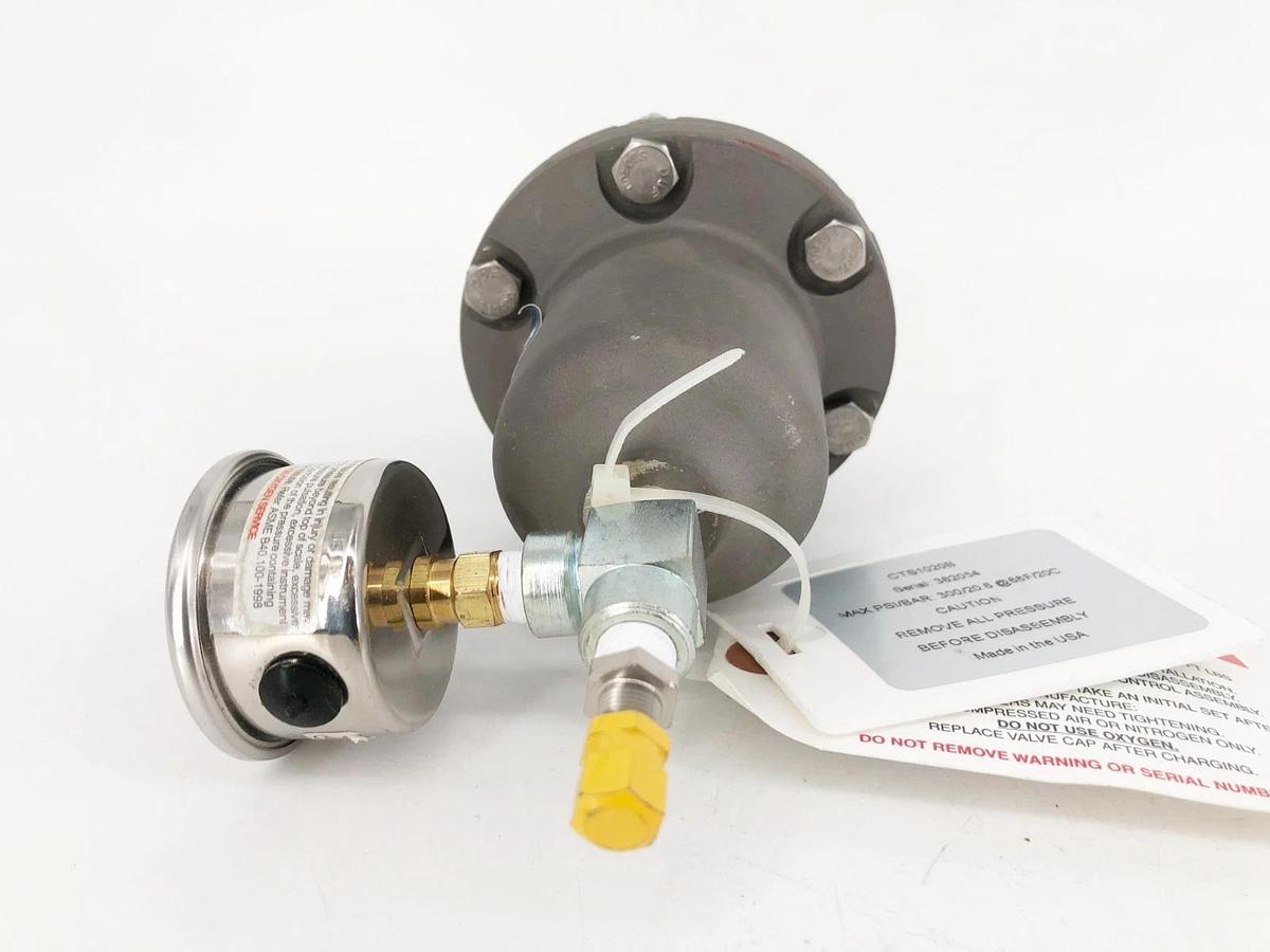 New Blacoh CTS1020B Pulsation Dampener 1/2" FNPT 300psi - No Box
