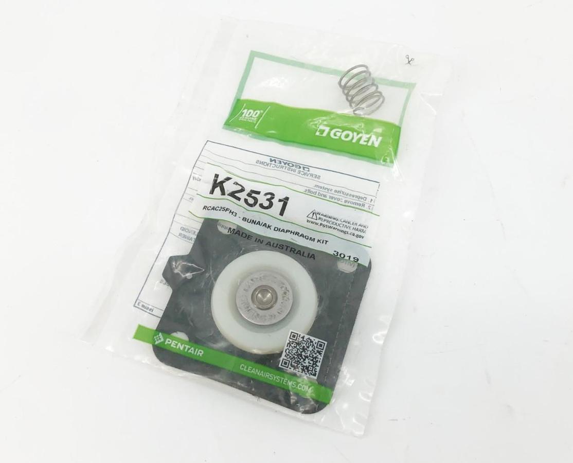 New Goyen K2531 Diaphragm Kit RCAC25FH3-BUNA/AK