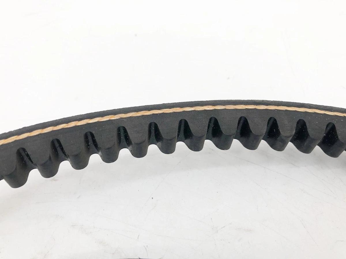 New Timken BX71 Gold-Ribbon Cogged V-Belt 21/32" x 74" - No Box