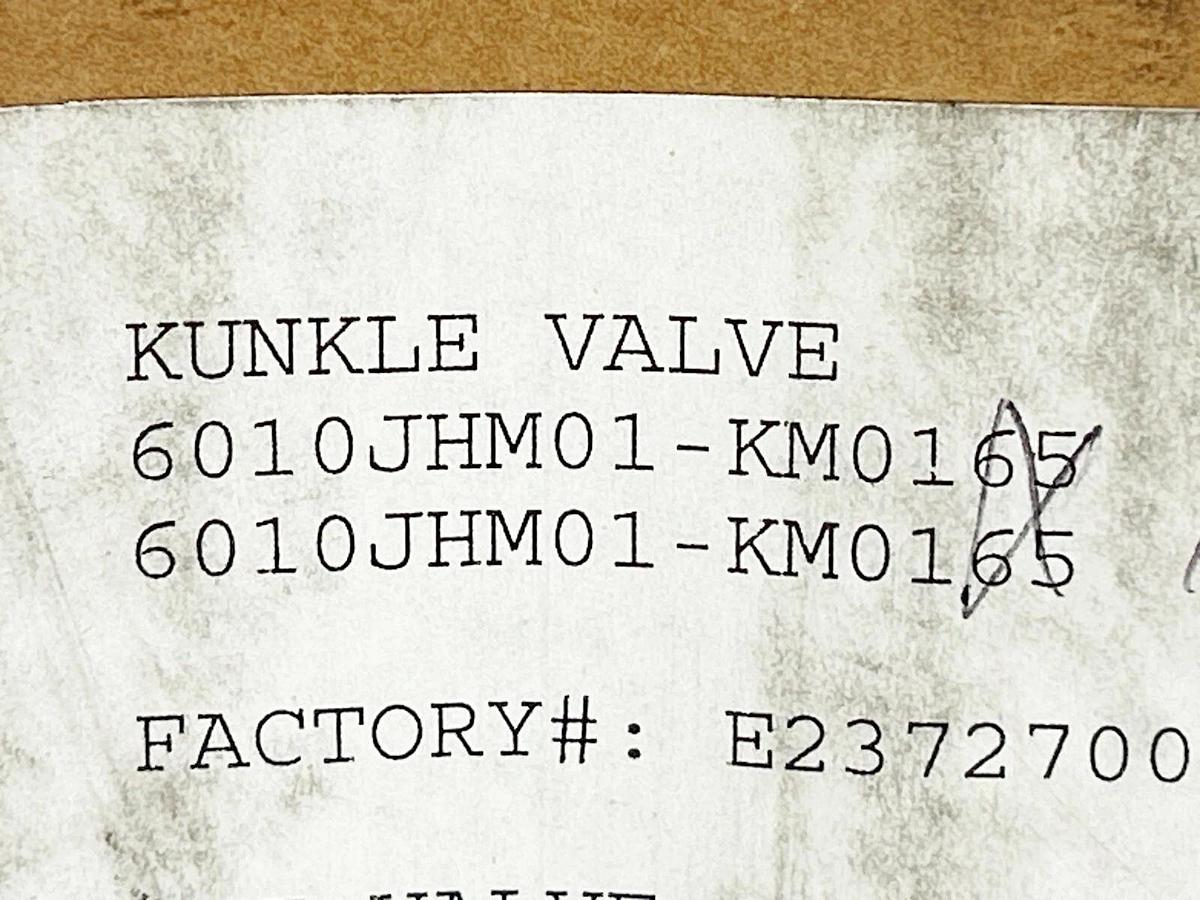 New Kunkle 6010JHM01-KM0175 Air Relief Valve 2"X2.5" 175PSI Set Pressure