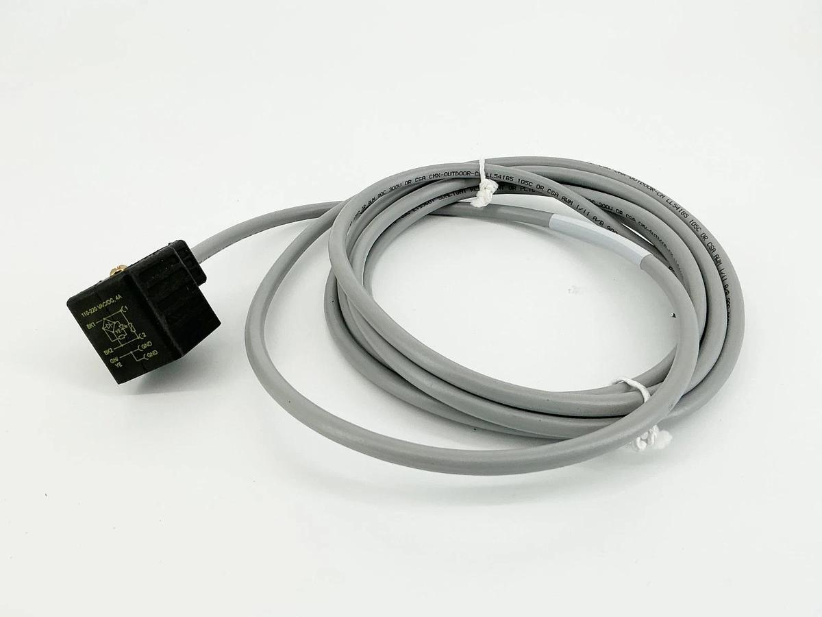 New Turck VAS 22-E669-3M Cordset Connector 3M 110-120V 3 Wire