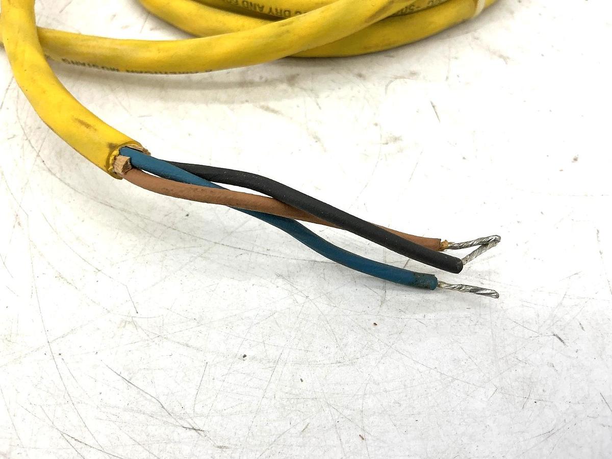 New Eaton Cutler-Hammer E58-30TD250-GL Ser A1 Photoelectric Sensor 132VAC 30VDC