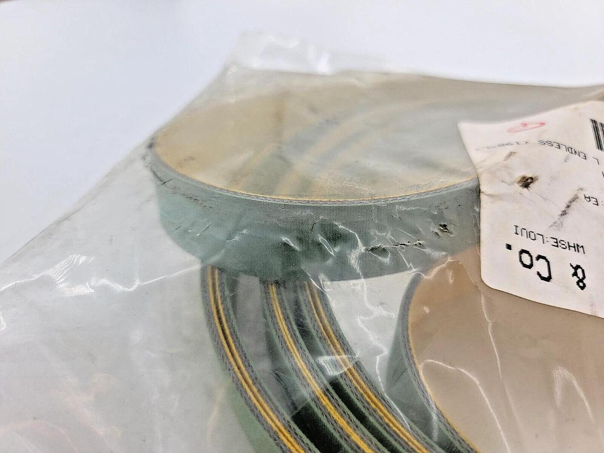 Used New F.N. Sheppard 25mm x 5029mm Endless Belt Yellow/Green 198"