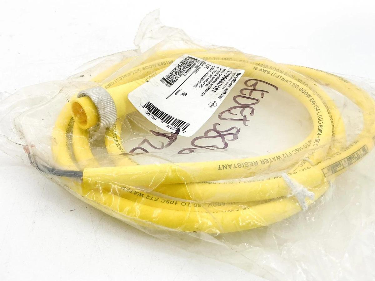 New Brad Connectivity 130060187 Cordset 2P 102002C01F0601