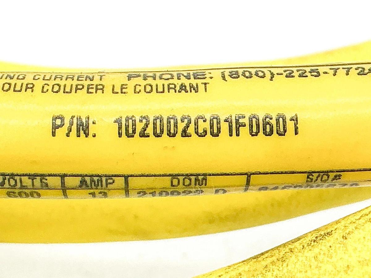 New Molex 102002C01F0601 Cordset 2P 600V 13A - No Box