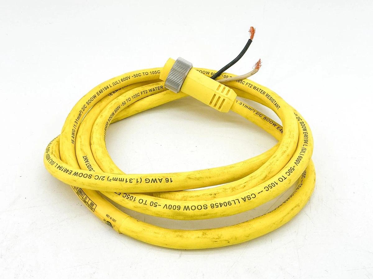 New Molex 102002C01F0601 Cordset 2P 600V 13A - No Box