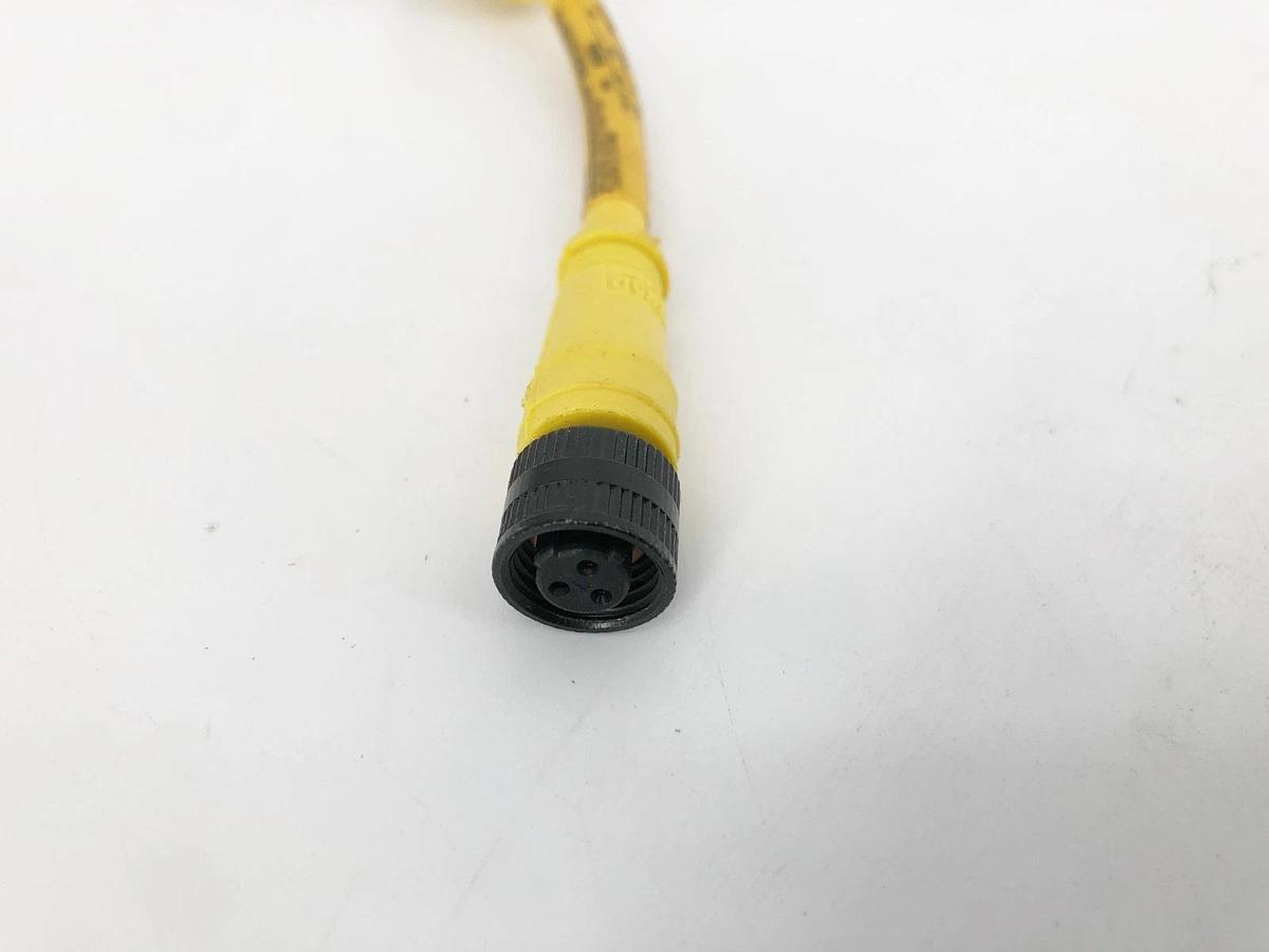 New Brad Connectivity W80803 Cordset 3 Pin Male/Female 250V 4A - No Box