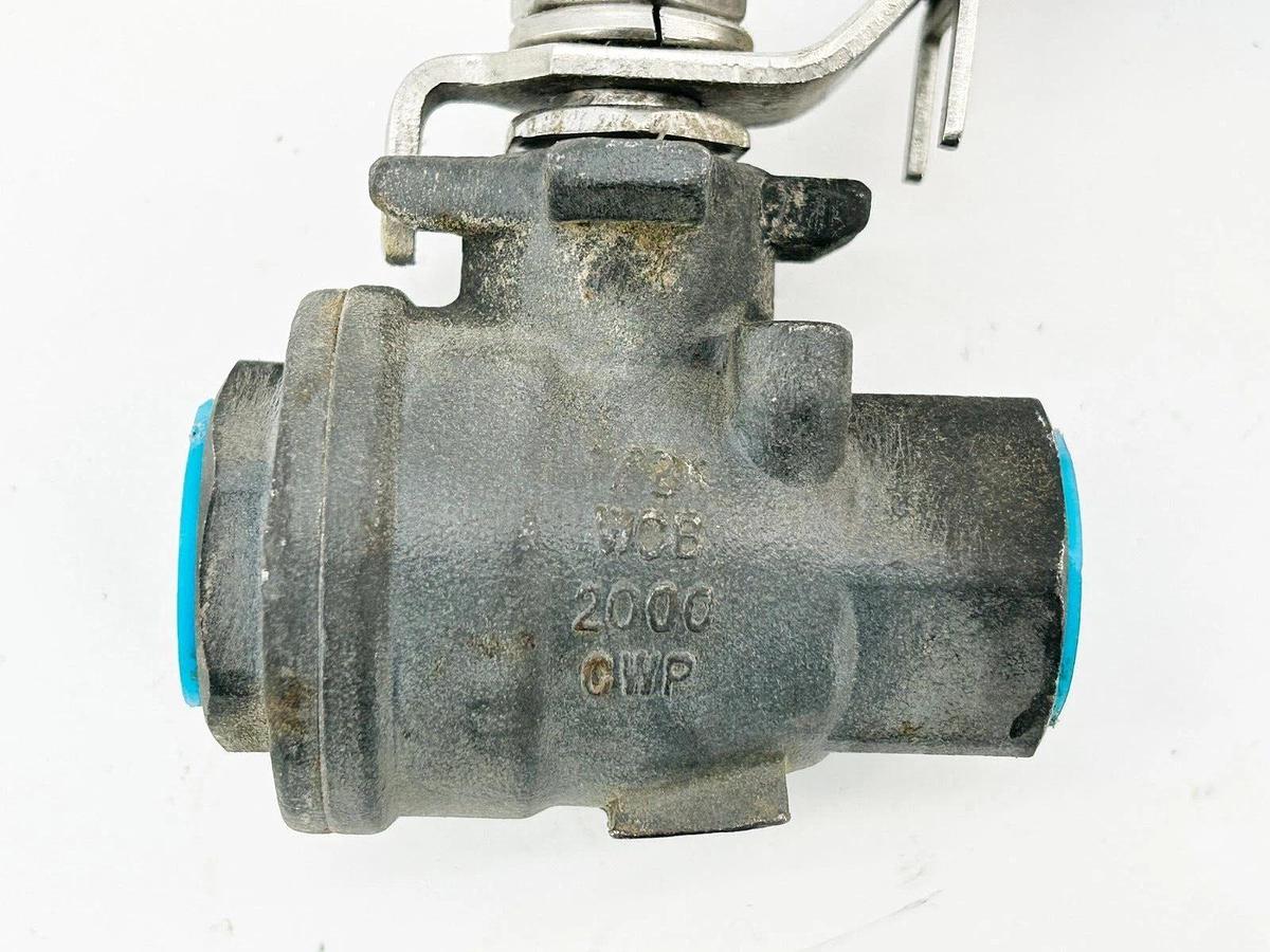 New FNW Valves FNW221AD Ball Valve 1/2" WCB 2000 CWF