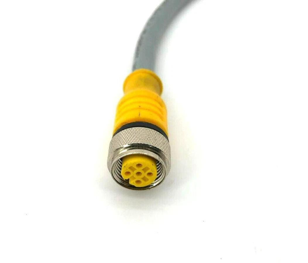 New Turck RKC 4.5T-2-RSC 4.5T/S1538 Cordset M12 Male to M12 Female, U5196-6
