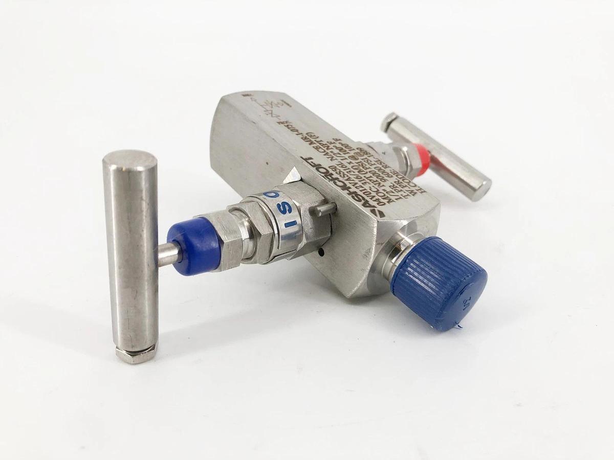 New Ashcroft 04V012VASS50 Block & Bleed 2-Valve Manifold 1/2" NPT - No Box