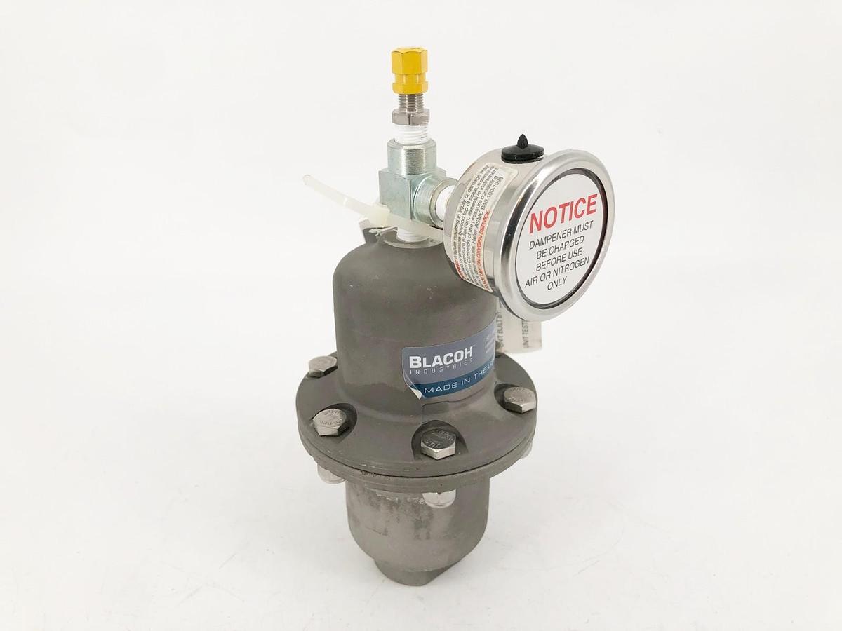 New Blacoh CTS1020B Pulsation Dampener 1/2" FNPT 300psi - No Box